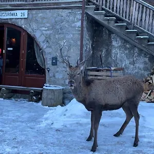 Schody Do Nieba Privatunterkunft Zakopane